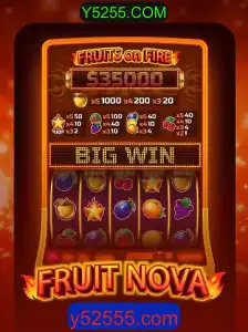 Descubra o Mundo Envolvente de FruitNova