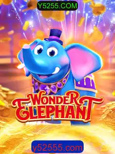 Tudo Sobre WonderElephant: Um Guia Completo para o Jogo Popular